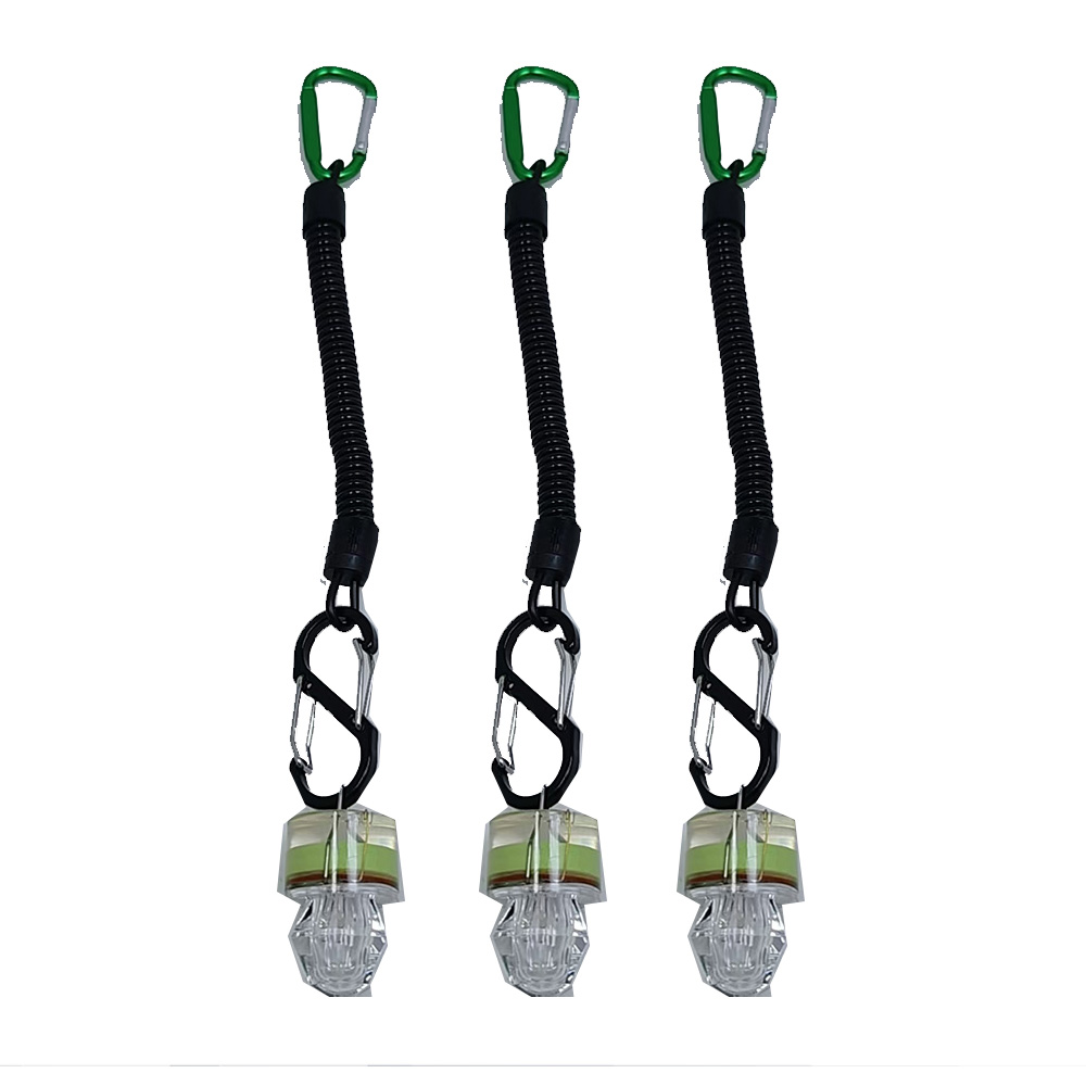 2-3PCS LED 낚시 조명등 (로프 포함) 수중 딥 - Fish Alarm 리뷰 및 가격